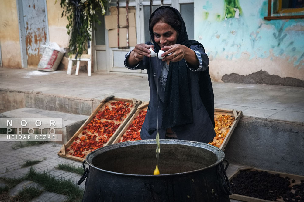 برداشت انگور از باغات شهر رویان شاهرود