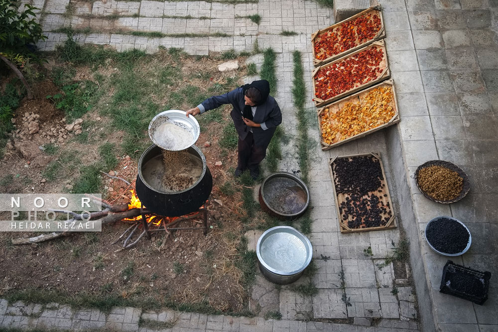 برداشت انگور از باغات شهر رویان شاهرود