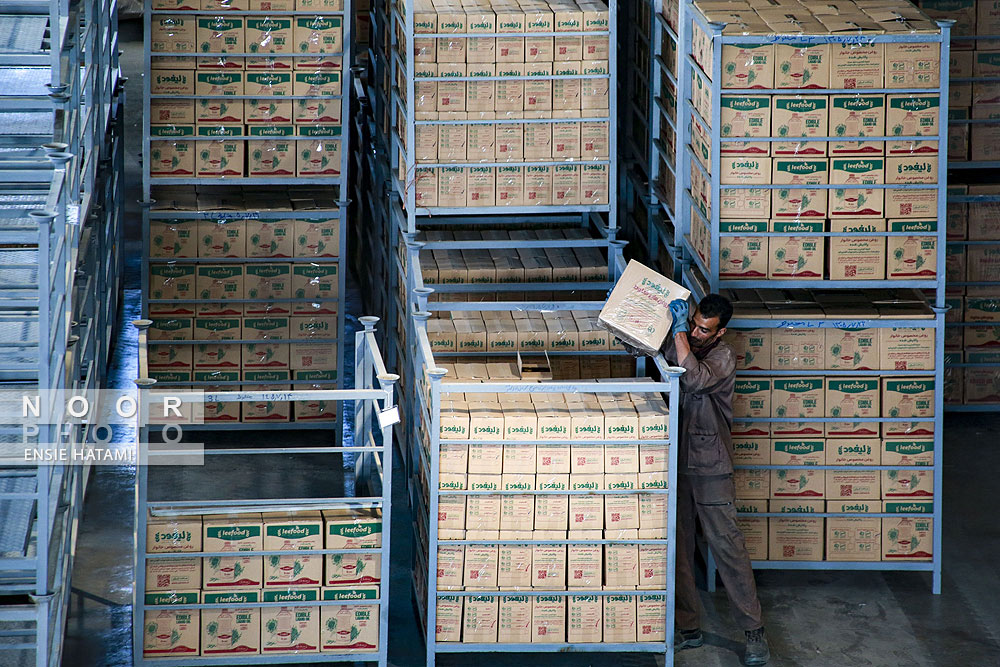 کارخانه تولید روغن خوراکی لیفود