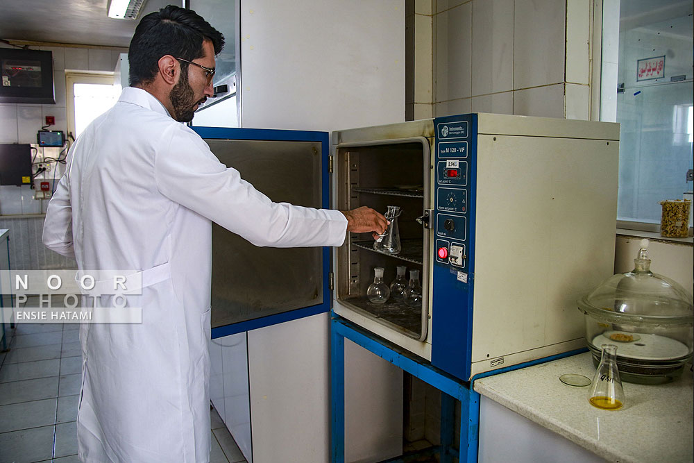 کارخانه تولید روغن خوراکی لیفود