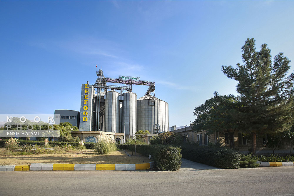 کارخانه تولید روغن خوراکی لیفود