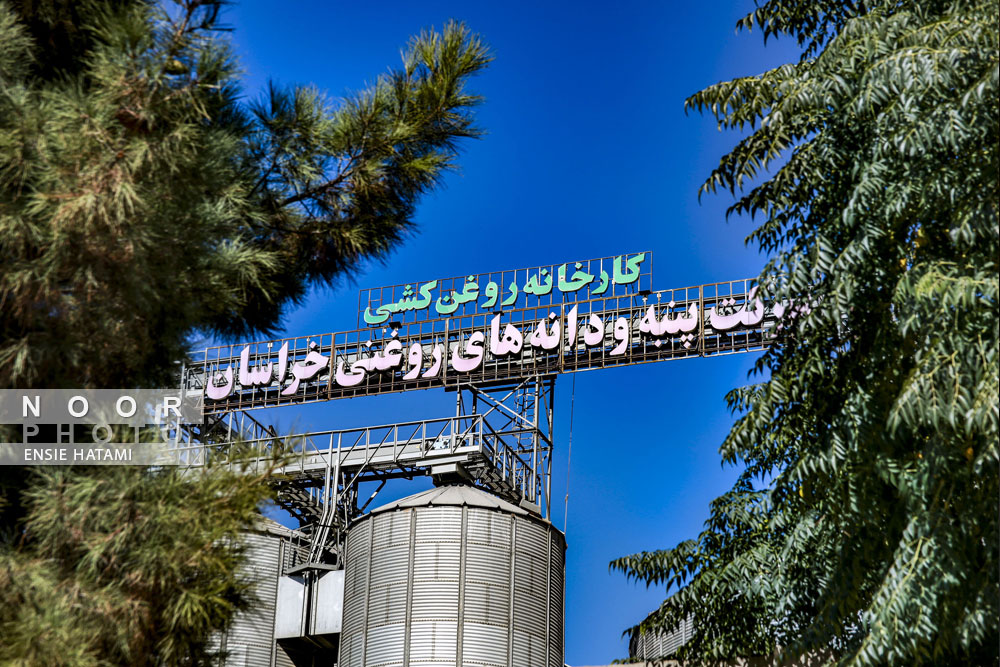 کارخانه تولید روغن خوراکی لیفود