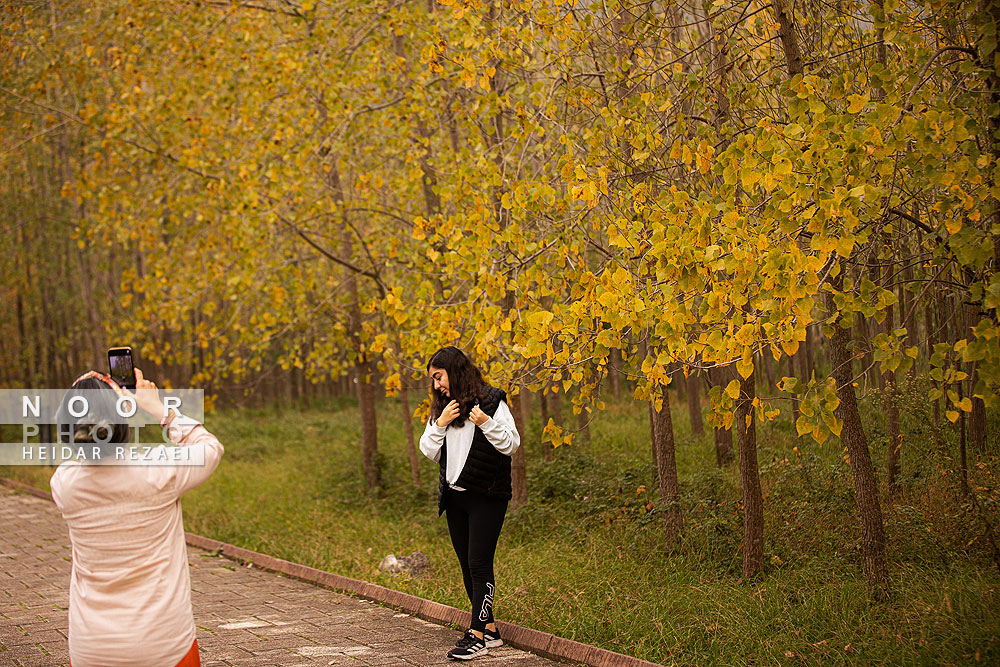 طبیعت%20پائیزی%20جنگل%20دالخانی%20و%20نمک%20آبرود